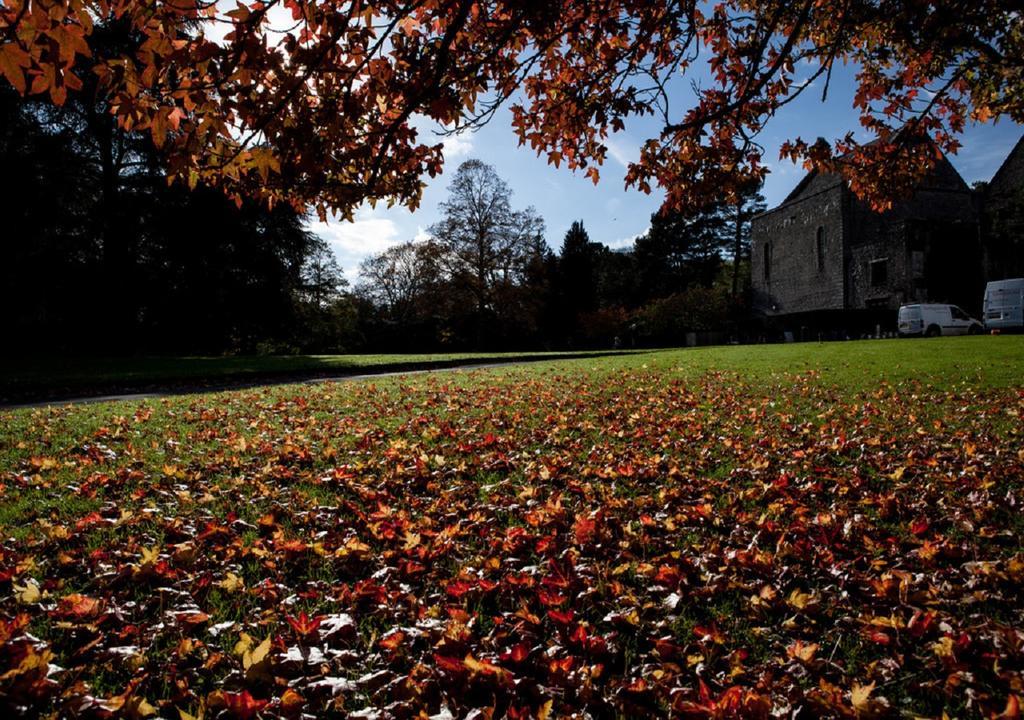 Dartington Hall Bed & Breakfast Totnes Exterior foto